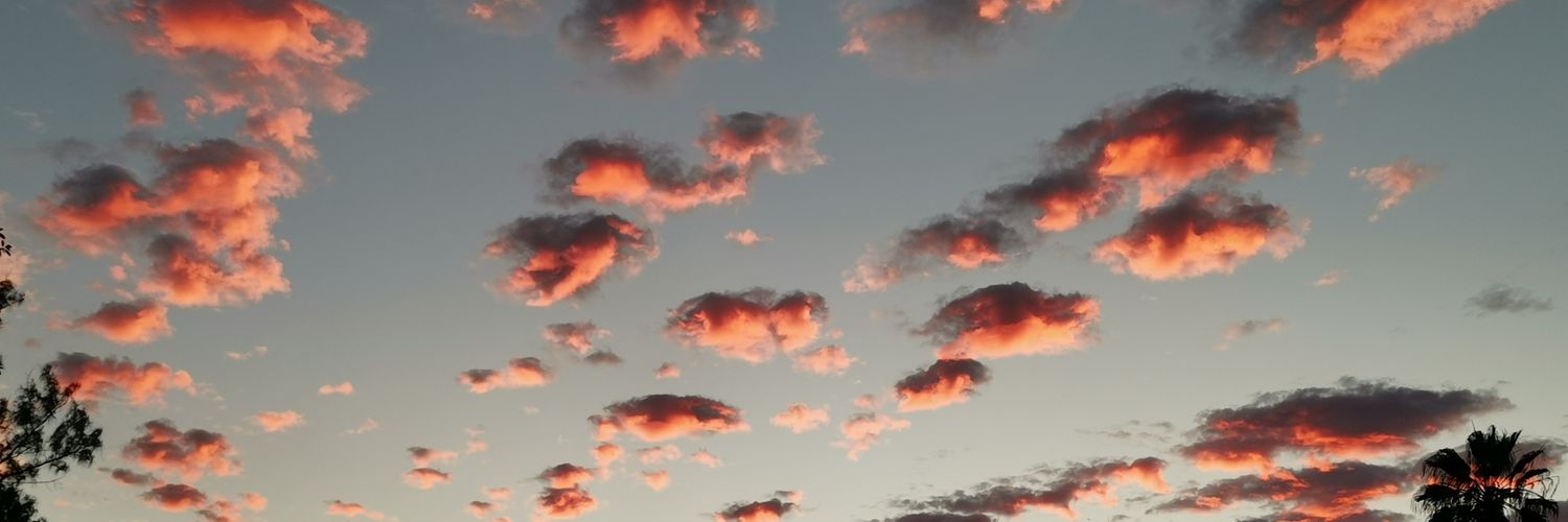 willybernal's profile banner image
