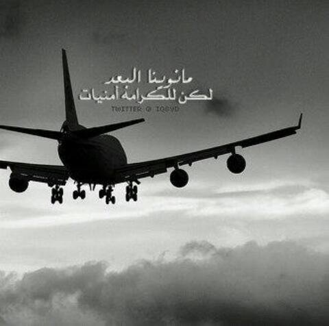mlokha123's profile banner image