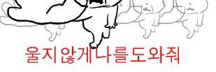 coolzzz___'s profile banner image
