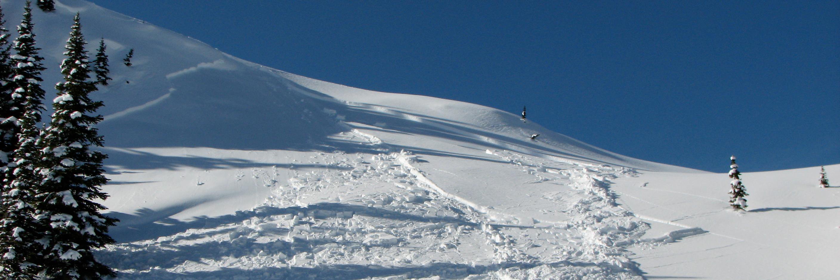 Avalanche Canada banner