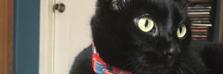 ginaLindgren's profile banner image