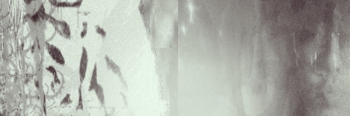 spreadw1ngz's profile banner image