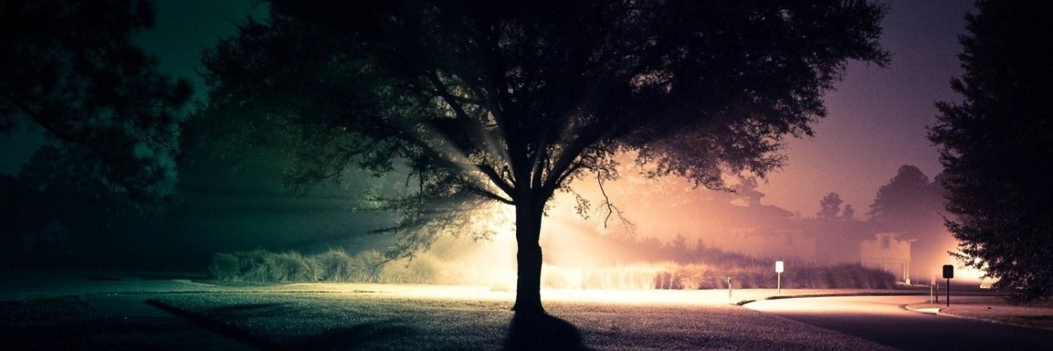 AmberCh70478971's profile banner image
