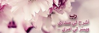 7arb_princess's profile banner image