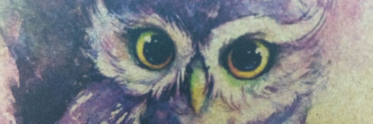 zaixenic's profile banner image