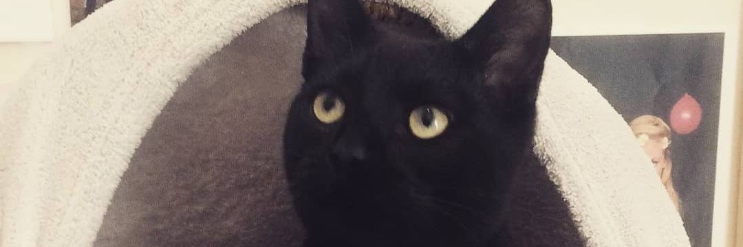 GavBiggs's profile banner image