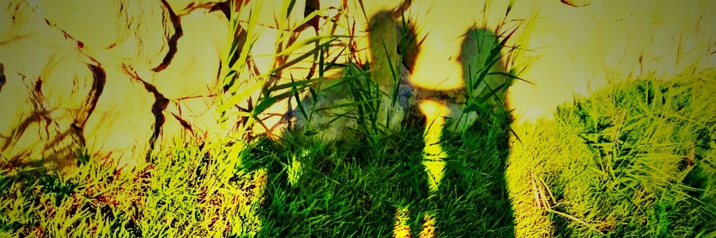 rocio_ca_pato's profile banner image