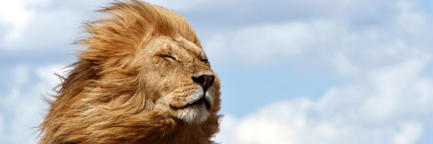 Luis F. Recalde L. banner