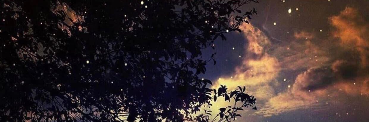 footsiepheobe's profile banner image