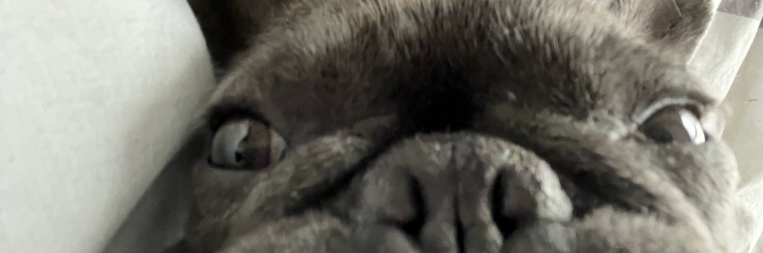 AustinBBerner's profile banner image