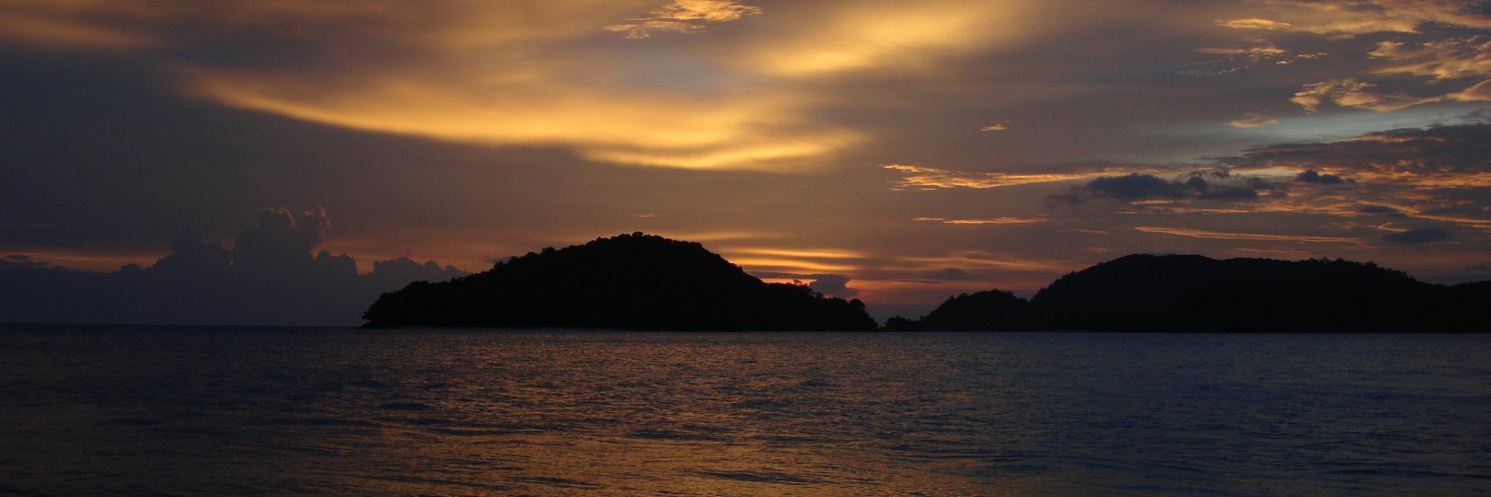 Celine Tan celinetan@bsky.social banner