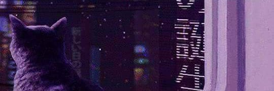 celadonwave's profile banner image
