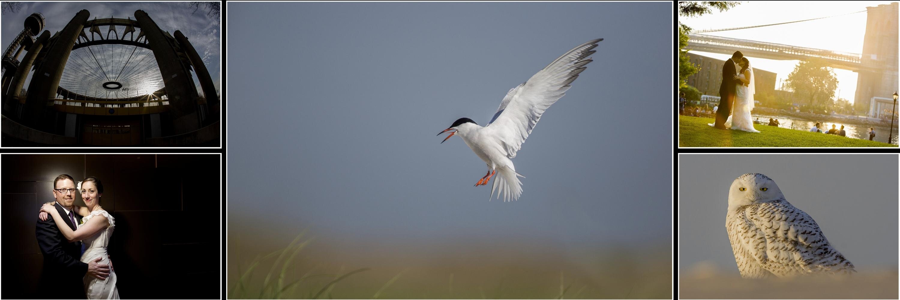 Dustin (BusySignal-KE2EFX) banner