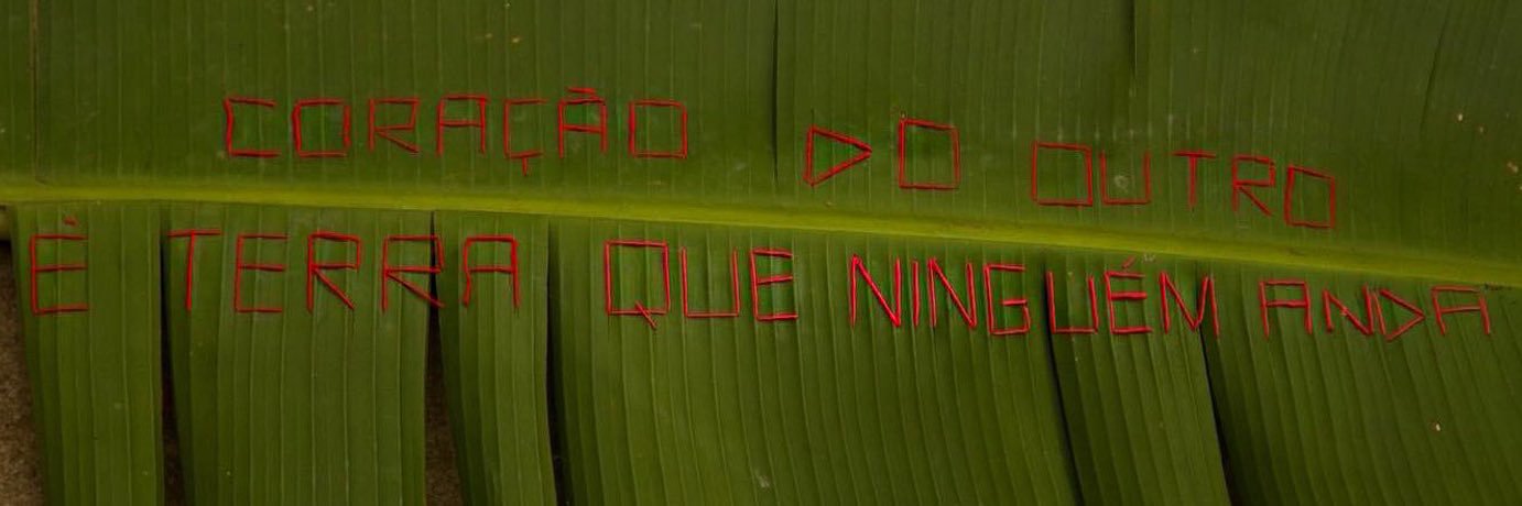 🌞 banner