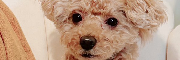 blanc7775 Profile Banner