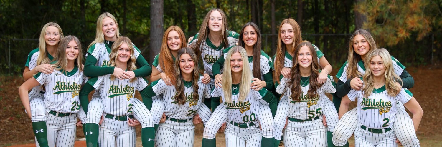 Aimee Batroff 2028 banner