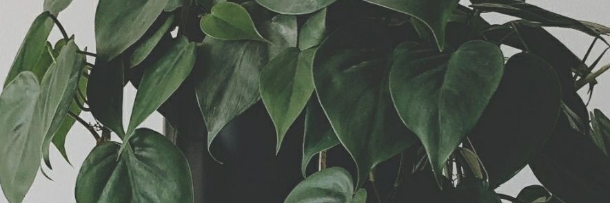 bluemoonmurder's profile banner image