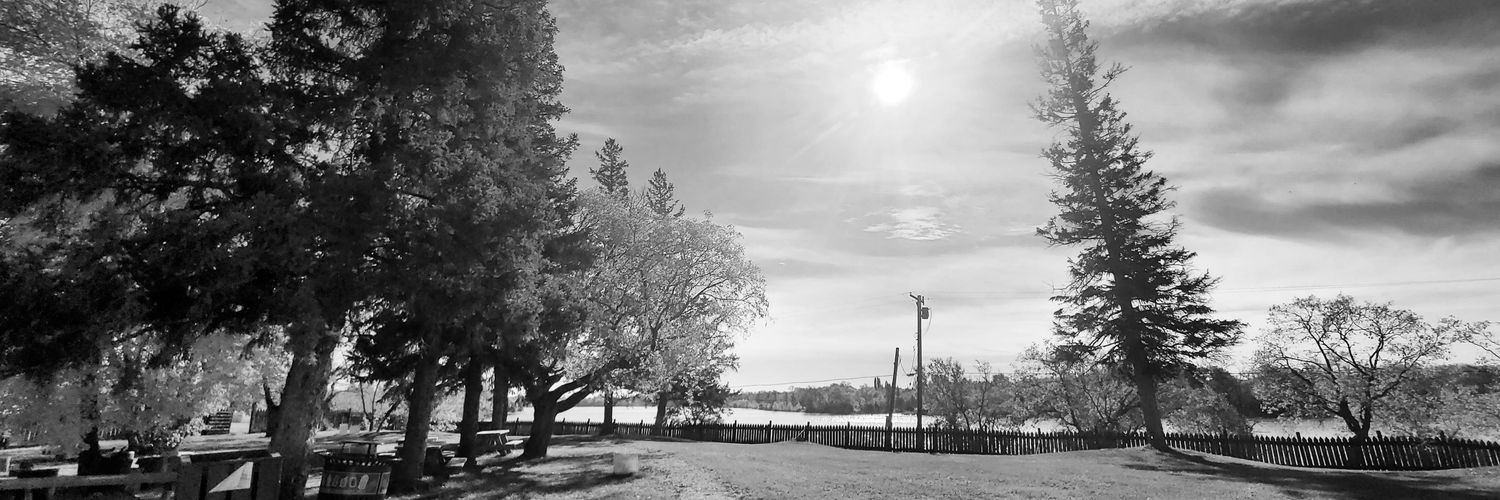 STARectory's profile banner image