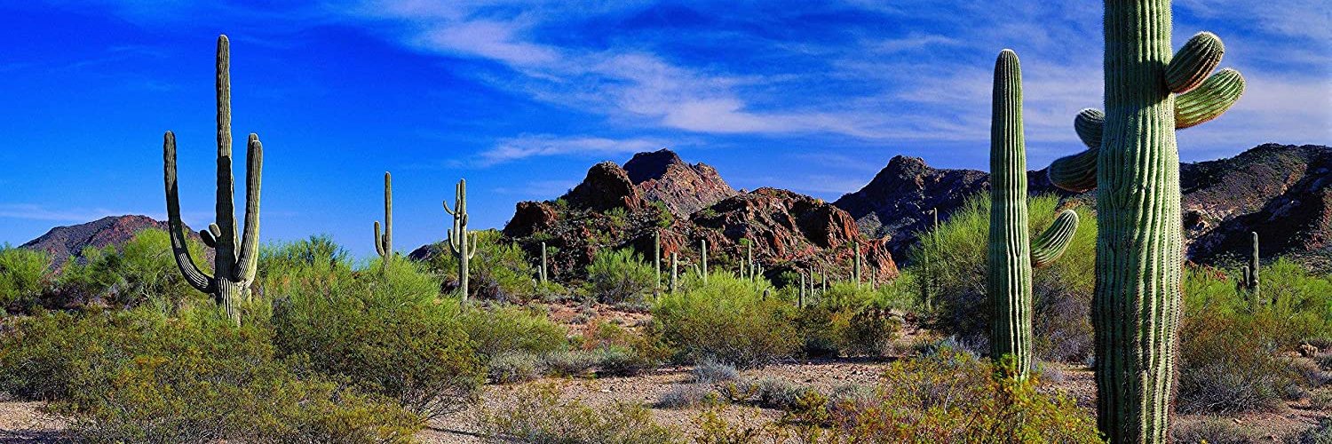 DriverMikeJ's profile banner image