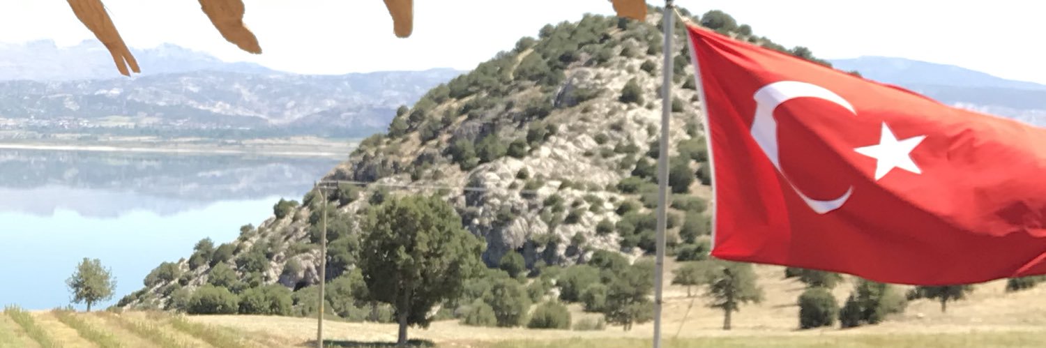 ceydacevni's profile banner image