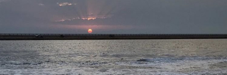 SAlF98's profile banner image