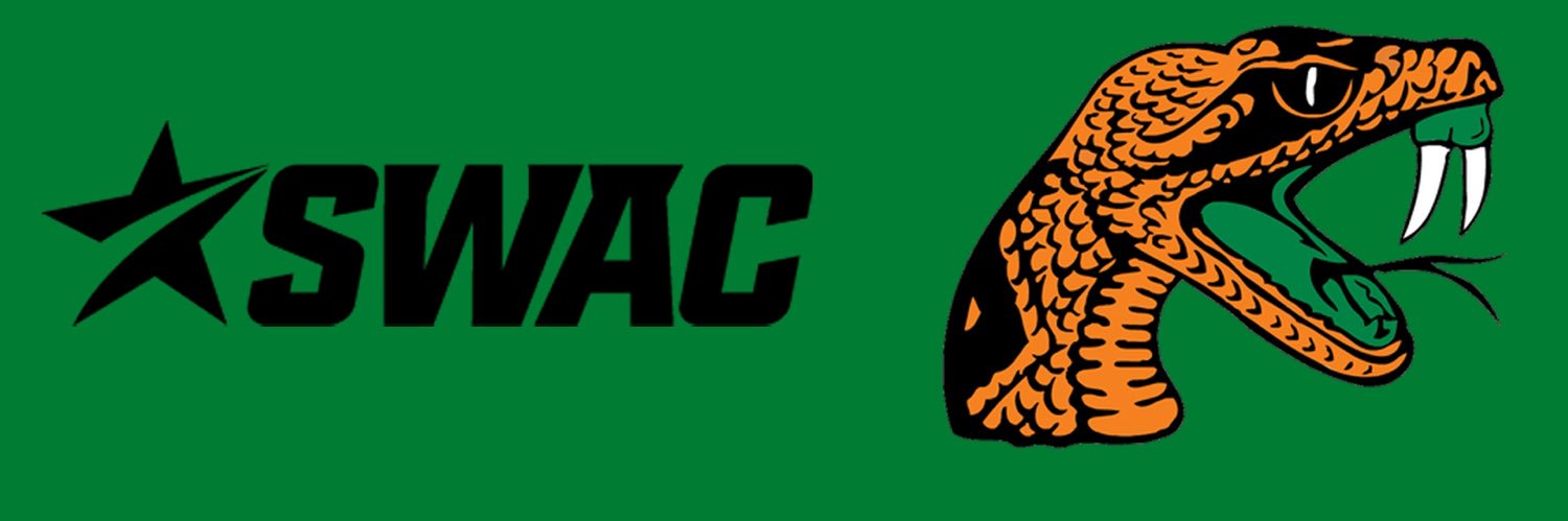 #16 Retro FAMU banner