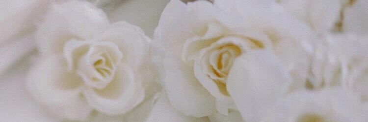 SongHoly's profile banner image