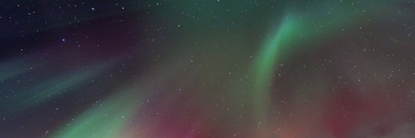 0x4D31 Profile Banner