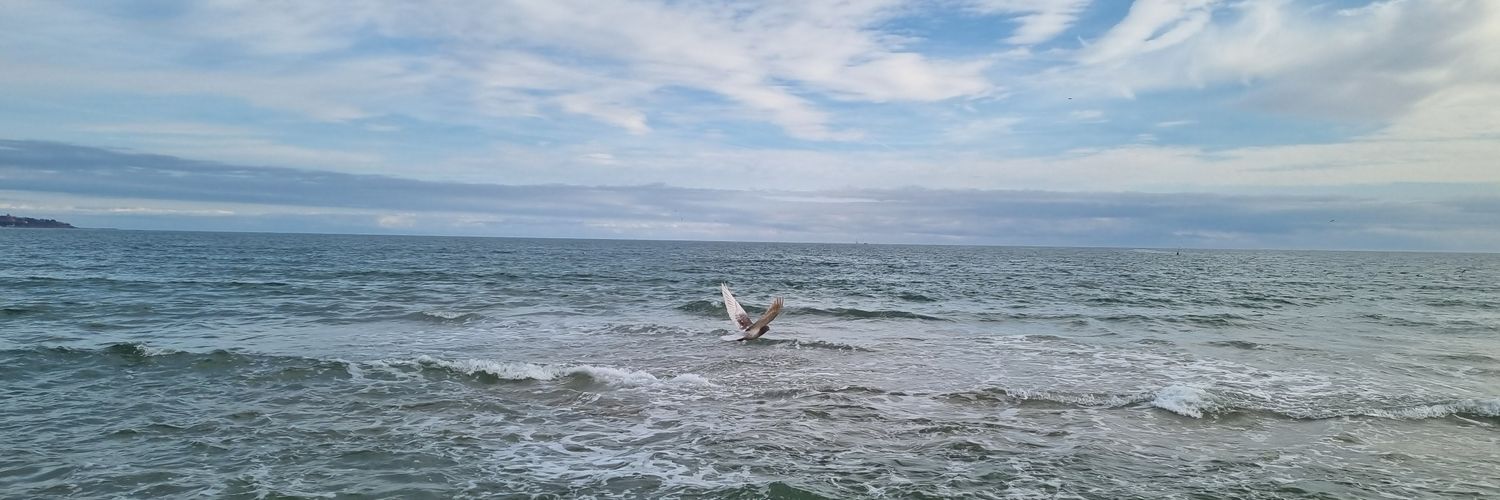 Stanimir Markov banner