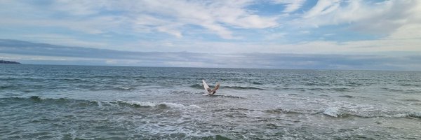 sferk Profile Banner