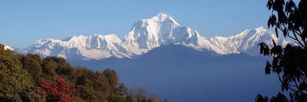 FiMacintosh Profile Banner