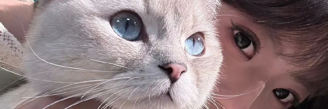 Boy S Kennedy • @Mt after dm banner