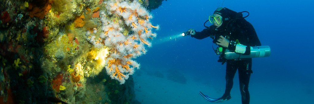 LanzaroteDiveCentre banner