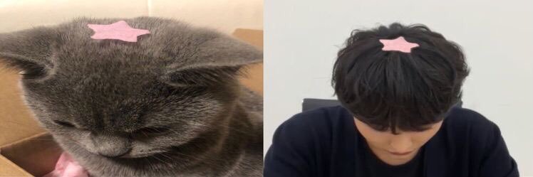 hwachoco's profile banner image