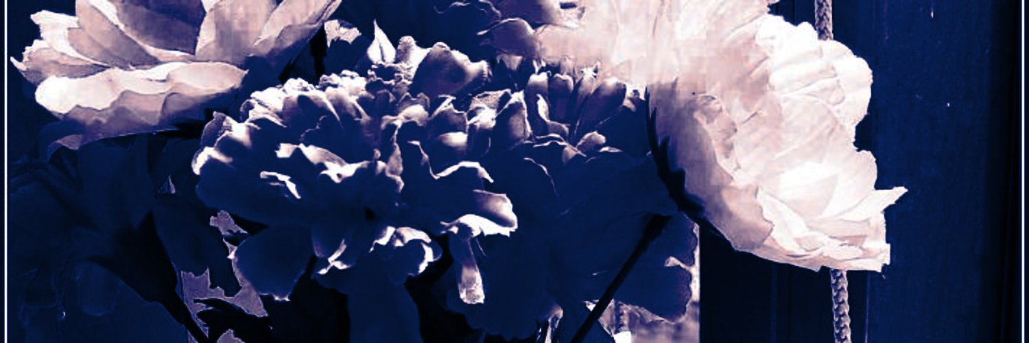 アカミヤレン banner