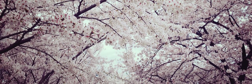 smbaron0816's profile banner image