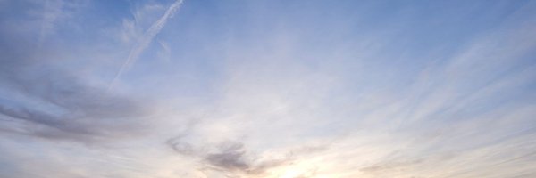 yOungOddity Profile Banner