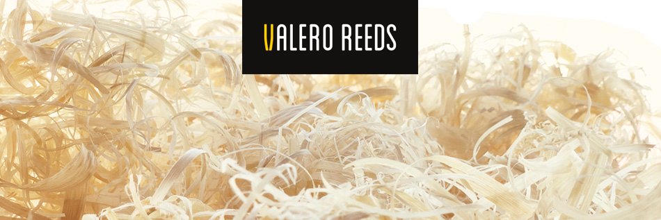 ValeroReeds's profile banner image