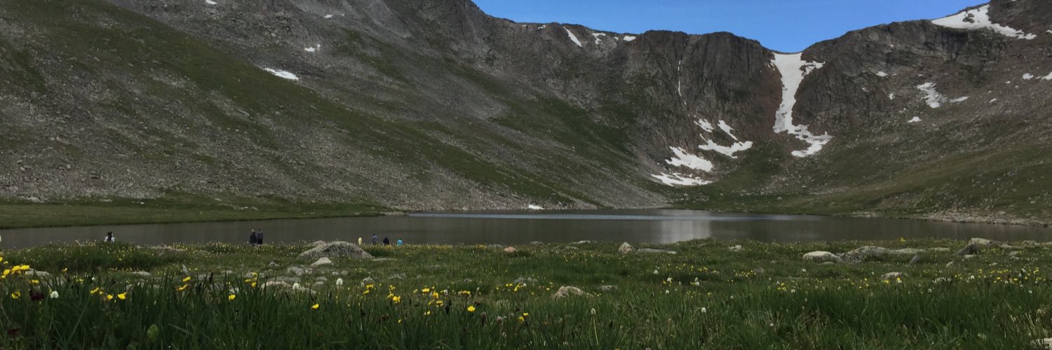 Ashleigh Graf banner