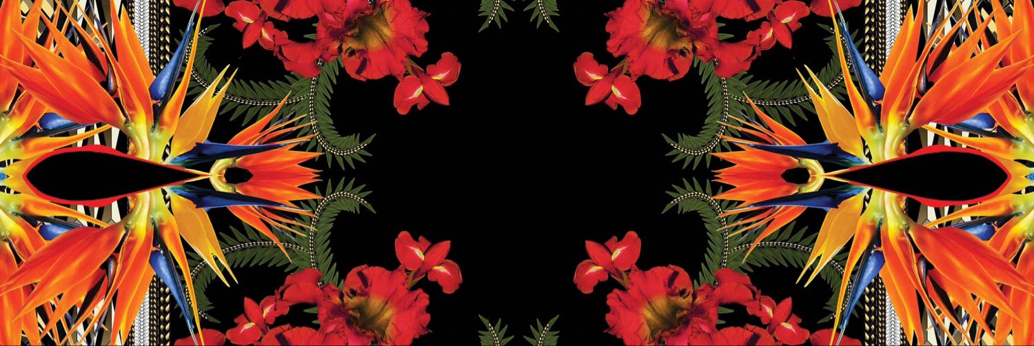 ncxlxs's profile banner image