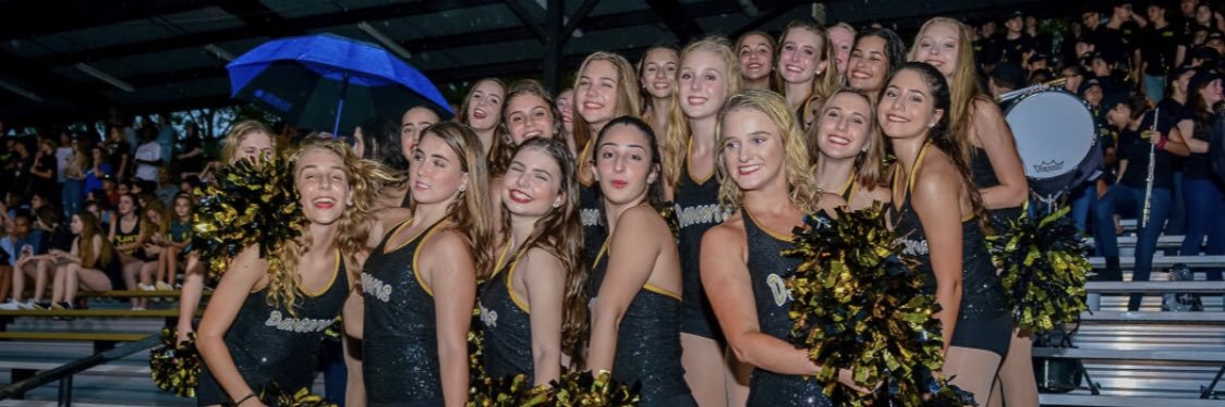 Plant High Danceros banner