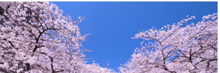 この空の青さは's banner