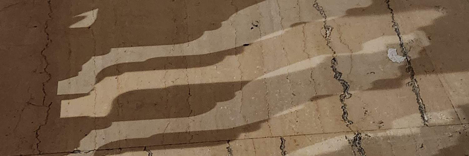 nir_shafir's profile banner image