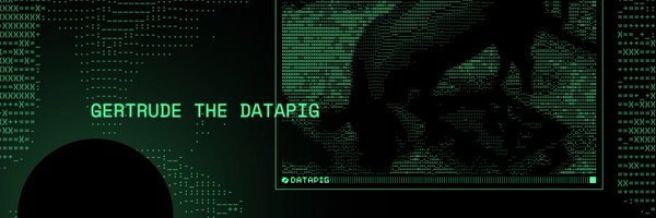 datapiggy Profile Banner