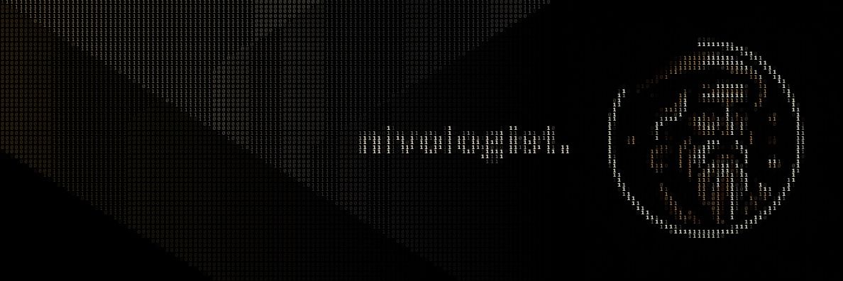 Nivologist banner