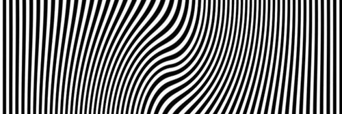 PsychedelicBadger banner