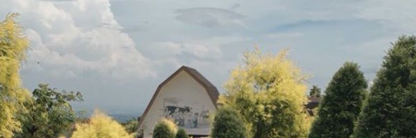 awvr Profile Banner