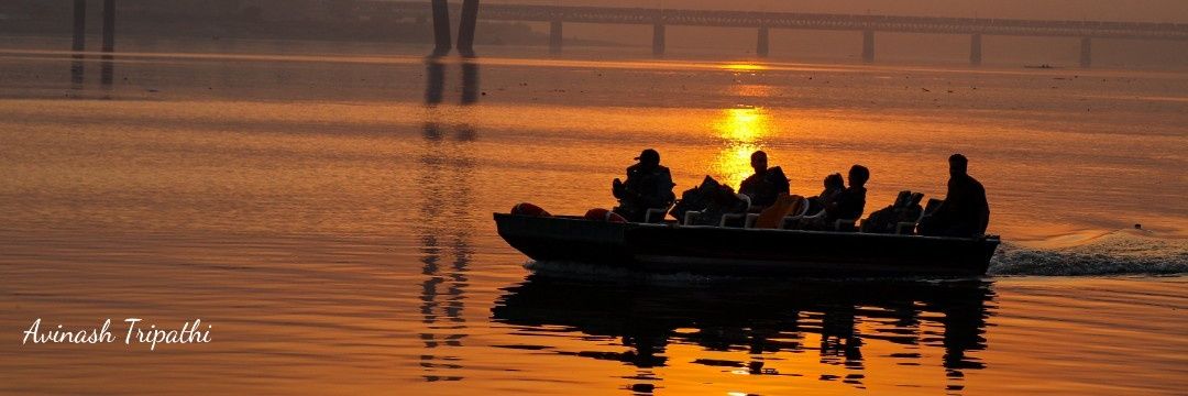 Dr. Avinash Tripathi banner