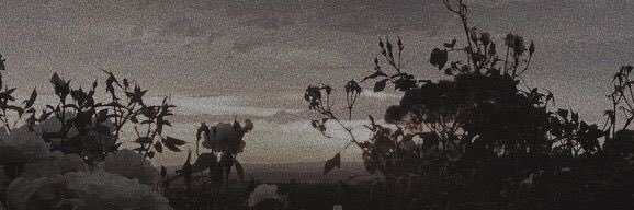 BarbieOnCoke's profile banner image