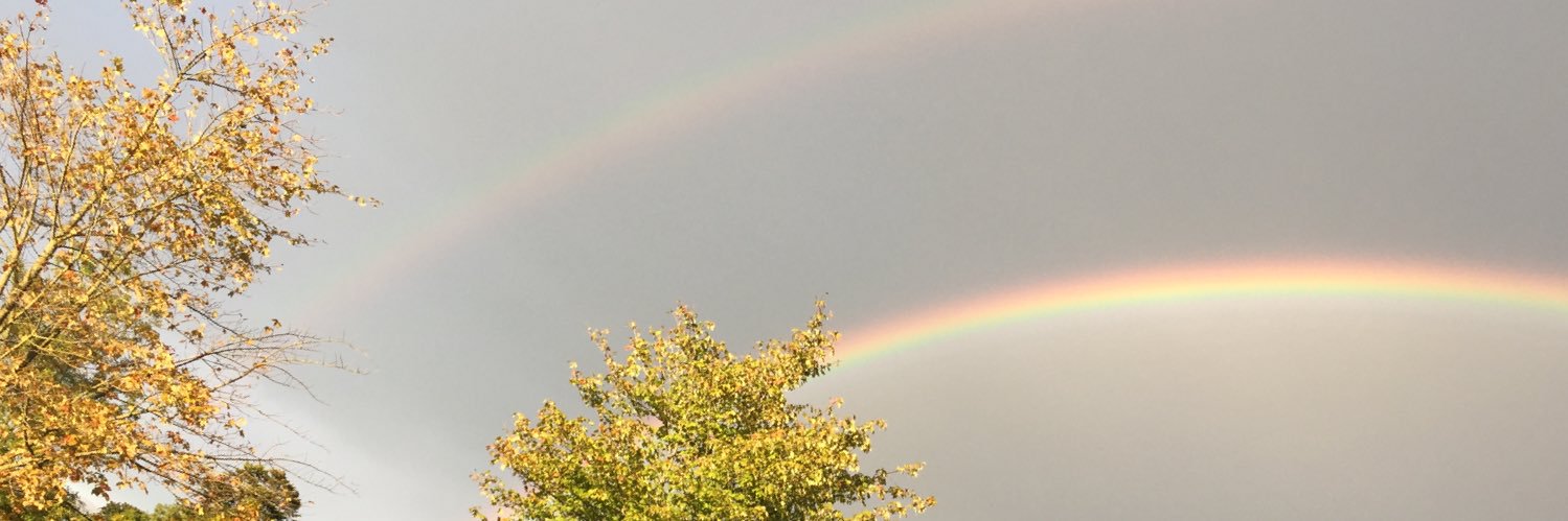 dalylvr's profile banner image